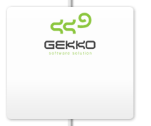 GEKKO Software-ska platforma za obezbeđenje gradova, benzinskih stanica i maloprodaja